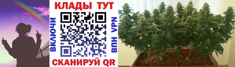 Наркошоп купить COCAIN  NBOMe  Канабис  Мефедрон  Кирово-Чепецк