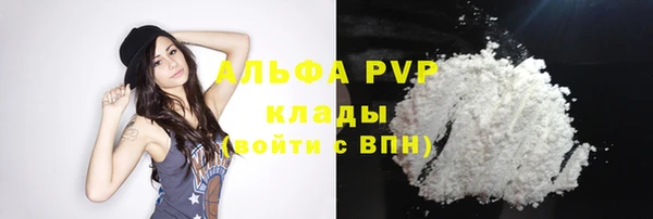 ПСИЛОЦИБИНОВЫЕ ГРИБЫ Кукмор