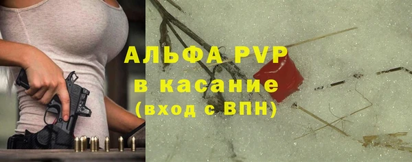 ПСИЛОЦИБИНОВЫЕ ГРИБЫ Кукмор